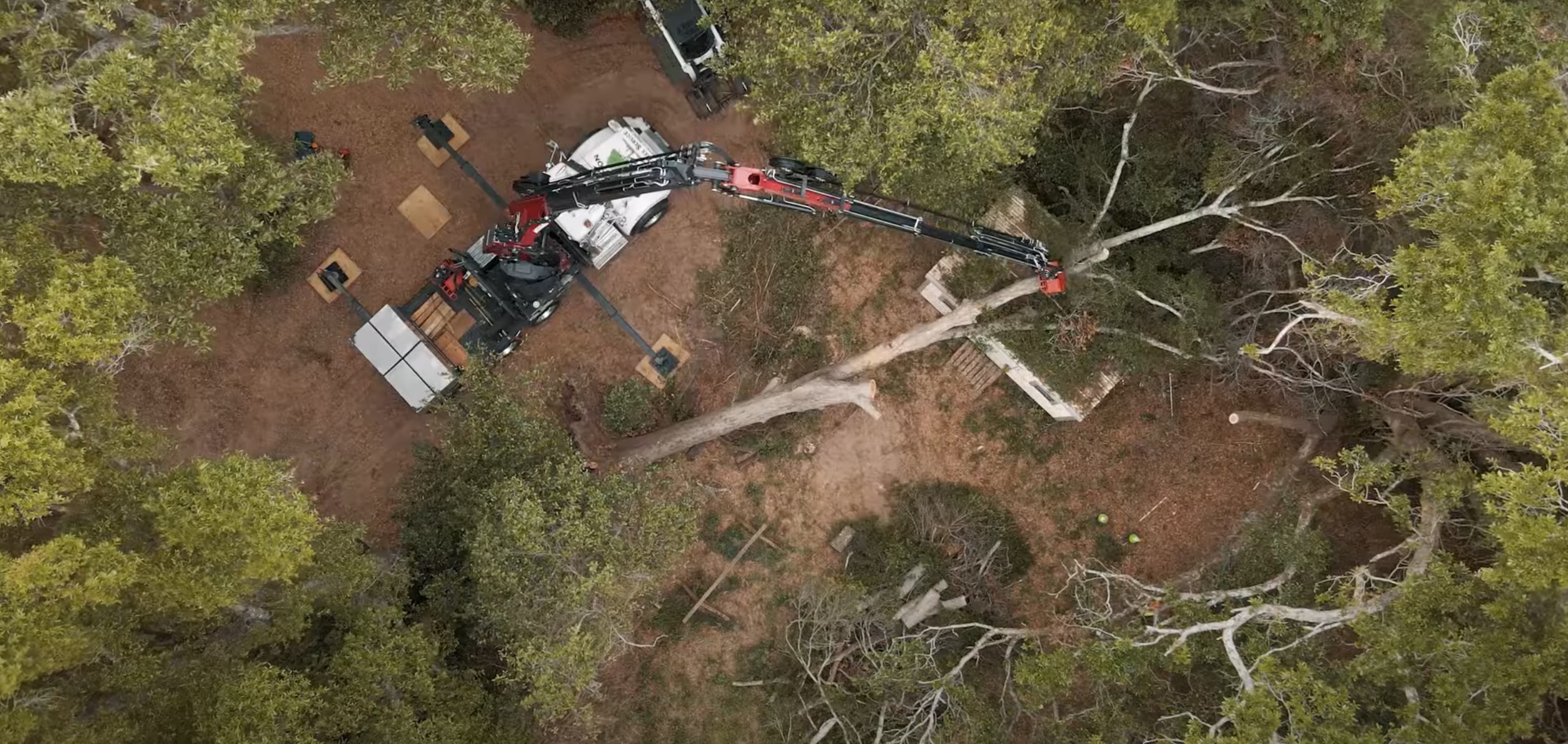Professional tree removal service with crane equipment in Lombard, IL