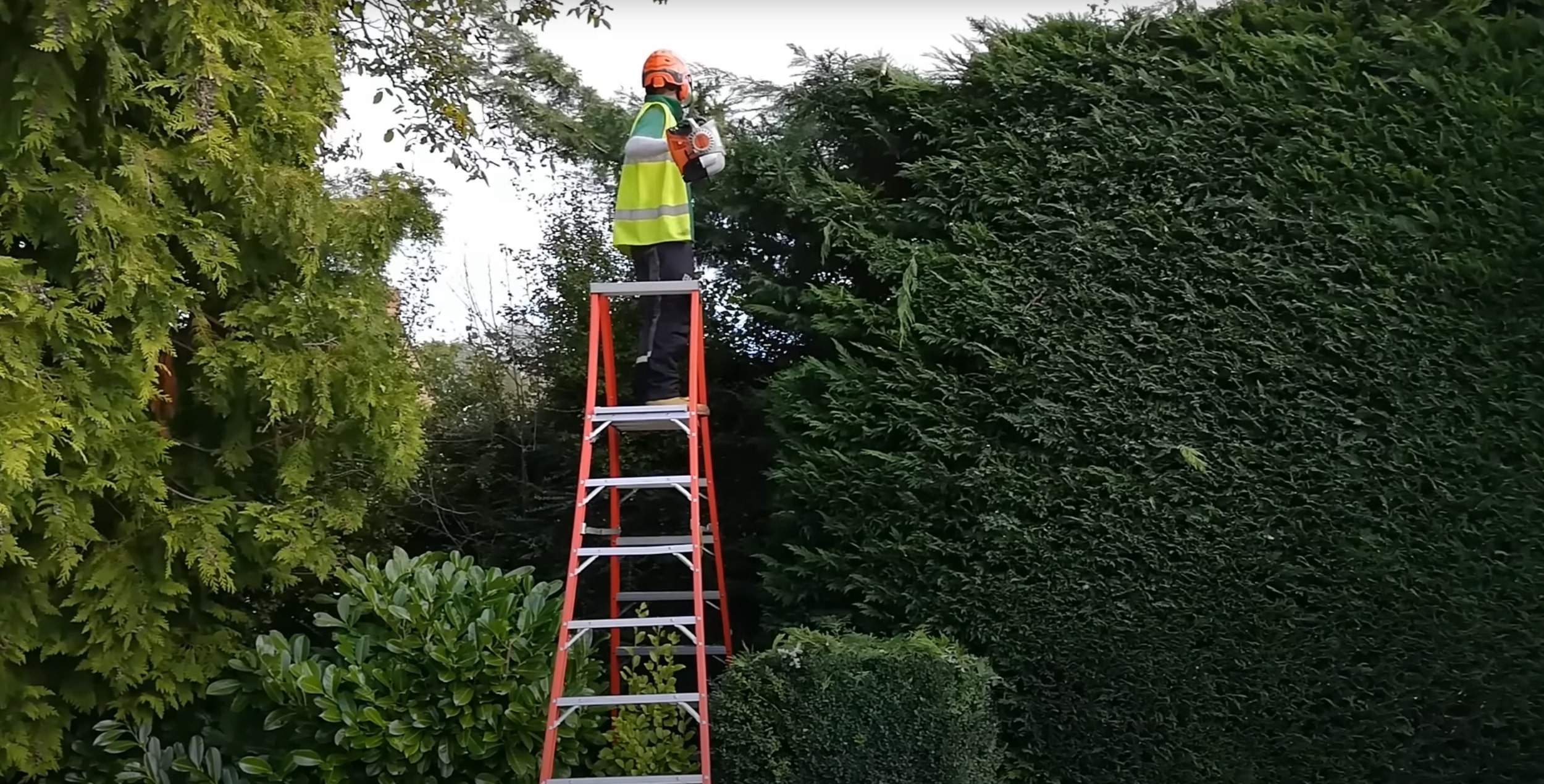 Professional shrub and hedge trimming in Lombard, IL