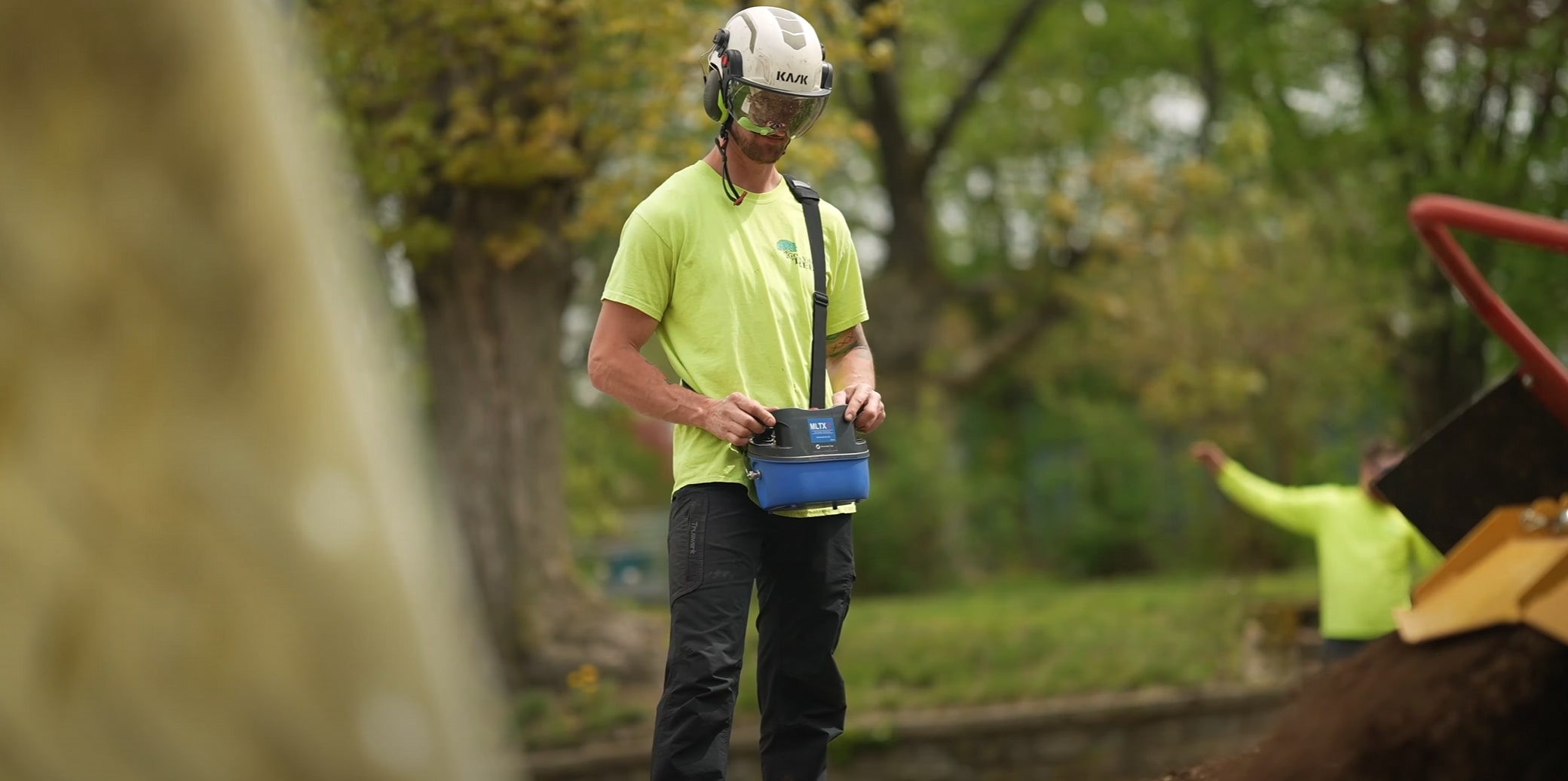 Certified arborist performing professional tree trimming in Lombard, IL